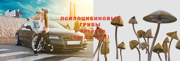 шишки Белоозёрский