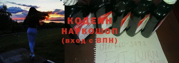 шишки Белоозёрский