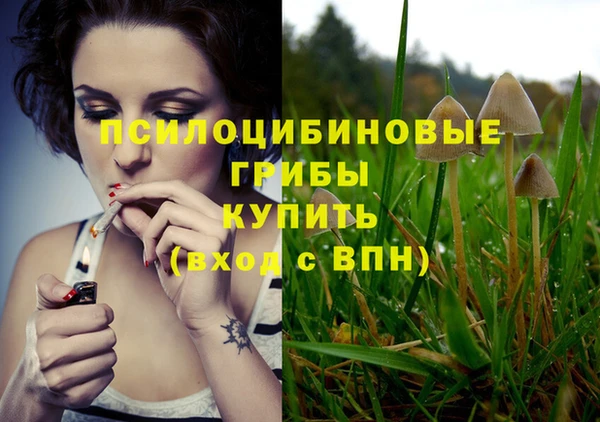 шишки Белоозёрский